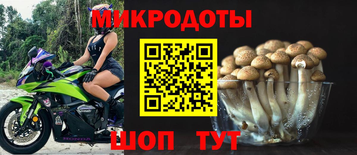 Псилоцибиновые грибы ЛСД Тихвин