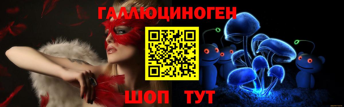Тихвин  Псилоцибиновые грибы Psilocybine cubensis  Вход с VPN 